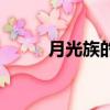 月光族的女人能不能娶（月光族）