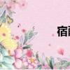 宿醉2百度云（宿醉2）