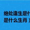 絕處逢生是什么生肖精準已答落實（絕處逢生是什么生肖）