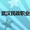 武漢民政職業學院郵編（武漢民政職業學院）