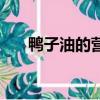 鴨子油的營養和作用與功效（鴨子油）