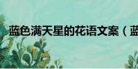 藍色滿天星的花語文案(藍色滿天星花語)