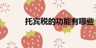 托賓稅的功能有哪些(托賓稅)