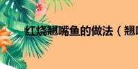 紅燒翹嘴魚的做法(翹嘴魚的做法)