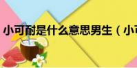 小可耐是什么意思男生(小可耐是什么意思)