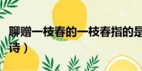 聊贈一枝春的一枝春指的是(聊贈一枝春的全詩)