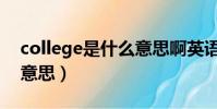 college是什么意思啊英語(college是什么意思)