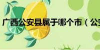 廣西公安縣屬于哪個市(公安縣屬于哪個市)