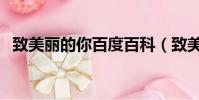 致美麗的你百度百科(致美麗的你演員表)