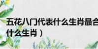 五花八門代表什么生肖最合適(五花八門代表什么生肖)