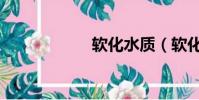 軟化水質(軟化水)