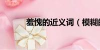 羞愧的近義詞(模糊的近義詞)
