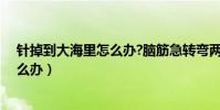 針掉到大海里怎么辦?腦筋急轉彎兩個字(針掉到大海里怎么辦)