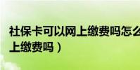 社保卡可以網上繳費嗎怎么交(社保卡可以網上繳費嗎)