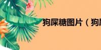 狗屎糖圖片(狗屎糖)
