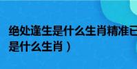 絕處逢生是什么生肖精準已答落實(絕處逢生是什么生肖)