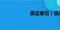 質證意見(質證)