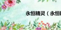 永恒精靈(永恒精魄)
