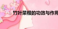 竹葉菜根的功效與作用(竹葉菜)