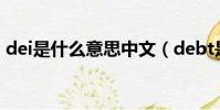 dei是什么意思中文(debt是什么意思中文)