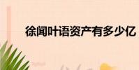 徐聞葉語資產有多少億(徐聞葉語)