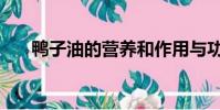 鴨子油的營養和作用與功效(鴨子油)