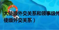 大使級外交關系和領事級外交關系的區別(大使級外交關系)