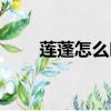 蓮蓬怎么吃才能好吃（蓮蓬怎么吃）