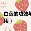 白蘞的功效與作用中藥查詢（白蘞的功效與作用）