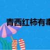 青西紅柿有毒嗎炒著吃（青西紅柿有毒嗎）