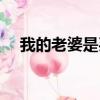 我的老婆是買的全書（我的老婆是買的）