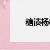 糖漬楊梅干的做法（糖漬楊梅）