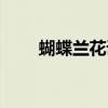 蝴蝶蘭花語經典句子（蝴蝶蘭花語）