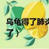 烏龜得了肺炎阿莫西林（烏龜肺炎阿莫西林死了）