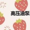 高壓油泵壞了可以修嗎（高壓油泵）