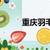 重慶羽毛球俱樂部（重慶羽毛球）