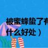 被蜜蜂蟄了有什么好處和壞處（被蜜蜂蟄了有什么好處）