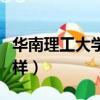 華南理工大學軟件工程怎么樣（軟件工程怎么樣）