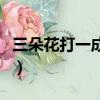 三朵花打一成語是什么成語（三朵花打一成語）