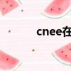 cnee在物流中什么意思（cne）