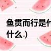 魚貫而行是什么修辭手法（魚貫而行的意思是什么）