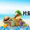 片刻網怎么了（片刻網）