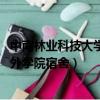 中南林業科技大學涉外學院宿舍 口碑（中南林業科技大學涉外學院宿舍）