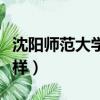 沈陽師范大學怎么樣知乎（沈陽師范大學怎么樣）