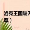 洛克王國蹦天御尊性格推薦（洛克王國蹦天御尊）