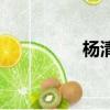 楊清羽名打分（楊清羽）