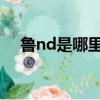 魯nd是哪里的車牌（魯n是哪里的車牌）