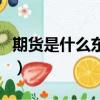 期貨是什么東西怎么做（期貨是什么怎么賺錢）