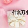 什么刀小試的成語（什么刀小試）