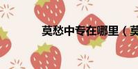 莫愁中專在哪里(莫愁中專)